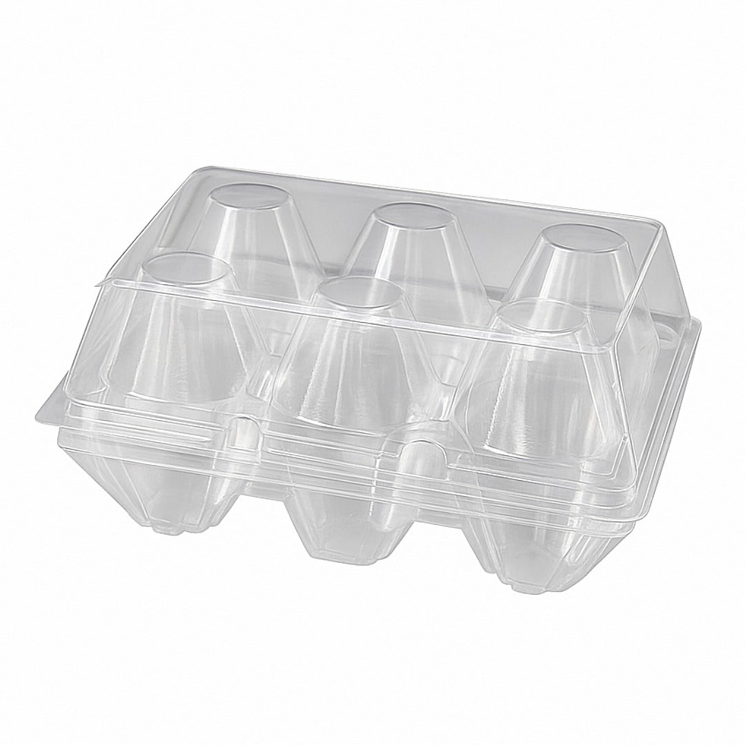 6 Egg Carton (6Pack)