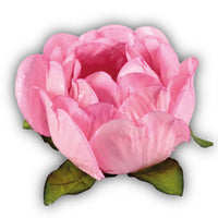 Thumbnail for Bella Flower Truffle Wrapper - Bubblegum Pink (30 Pack)