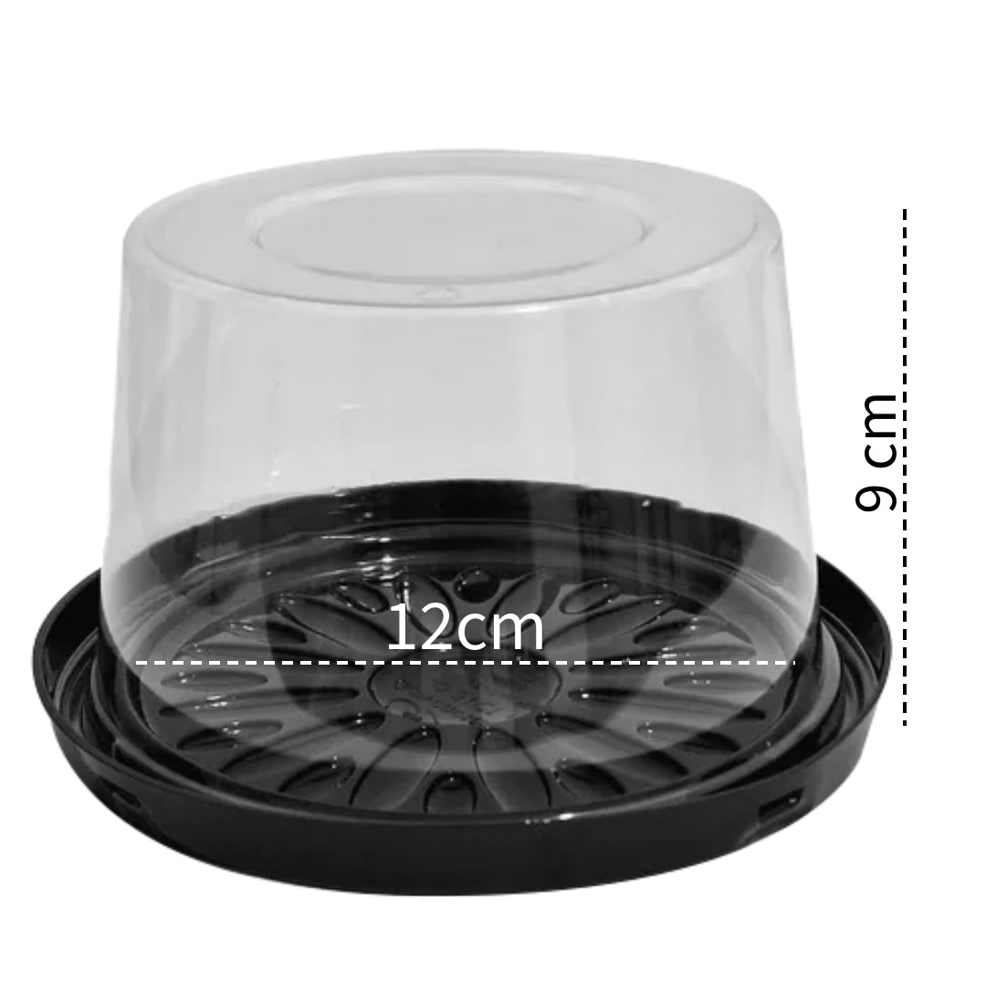 Clear Plastic Cake Containers - 12cm Round w/ Black Base (10-Pack)