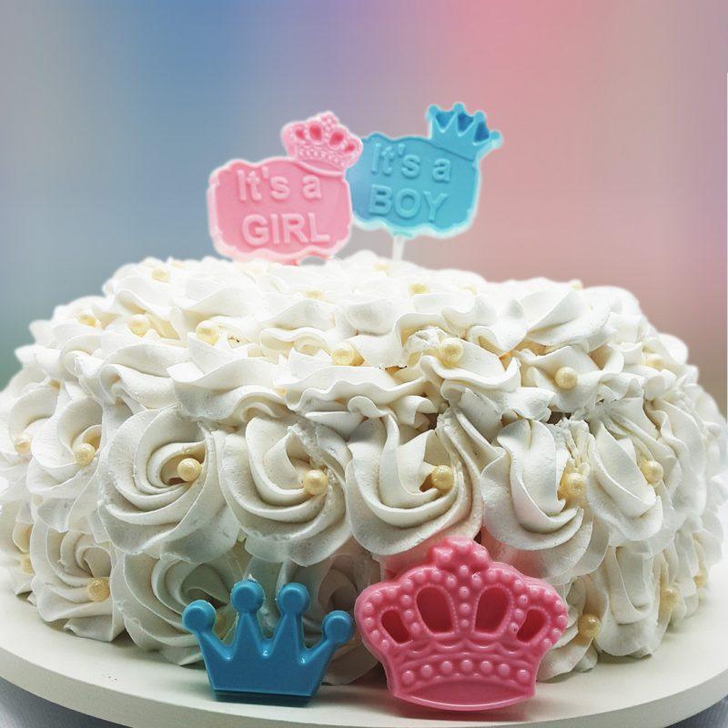 Gender Reveal Lollipop Standard Chocolate Mold - ViaCheff.com