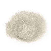 Thumbnail for Brilliant Sparkle Pearl Dust (2.5g Jar) - ViaCheff.com